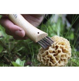 OPINEL ΣΟΥΓΙΑΣ ΜΑΝΙΤΑΡΙΩΝ CHAMPIGNON No8(001252)